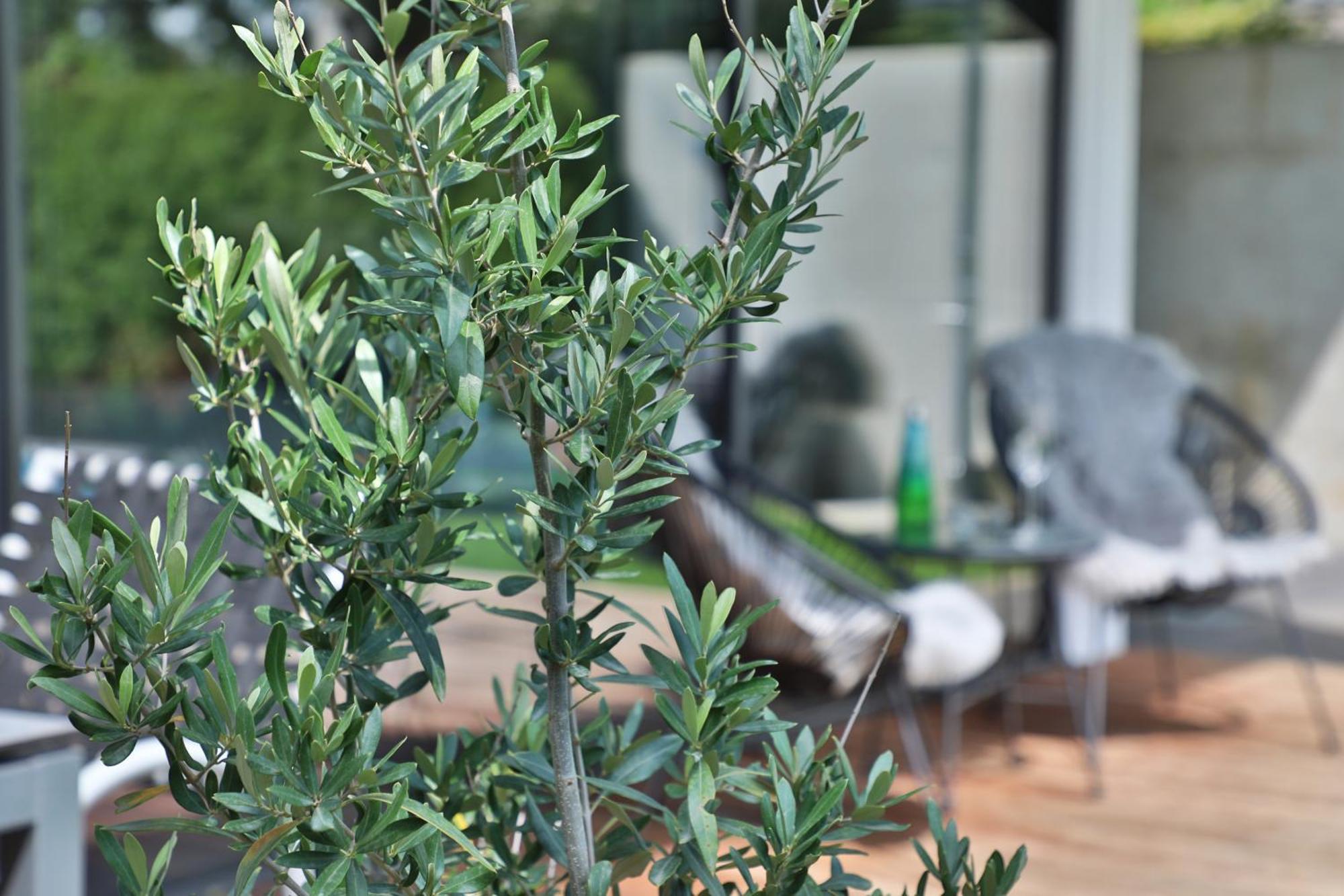 Modernes Studio-Apartment Gersthofen Dış mekan fotoğraf